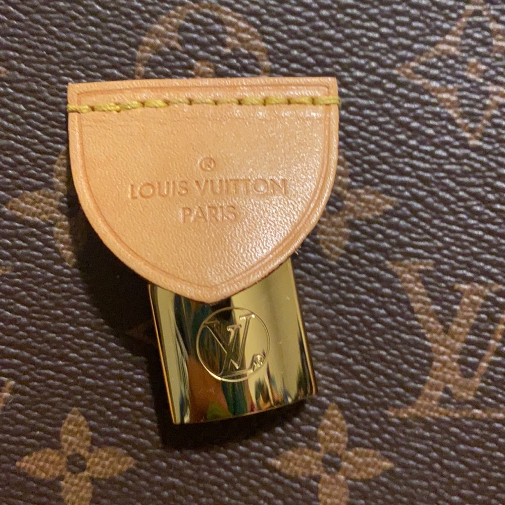 Louis Vuitton Rivoli Crossbody - Picture 5 of 14